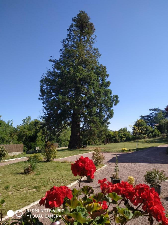 Le Manoir Sequoia Hotel Airvault Exterior photo